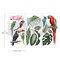 Tropical Birds - Small Transfers 6"x12" 3 sheets Rub on Transfers for Furniture Vintage Rub on Transfers Stickers for Crafts Classic Spring Summer Autumn Decoration Transfers
